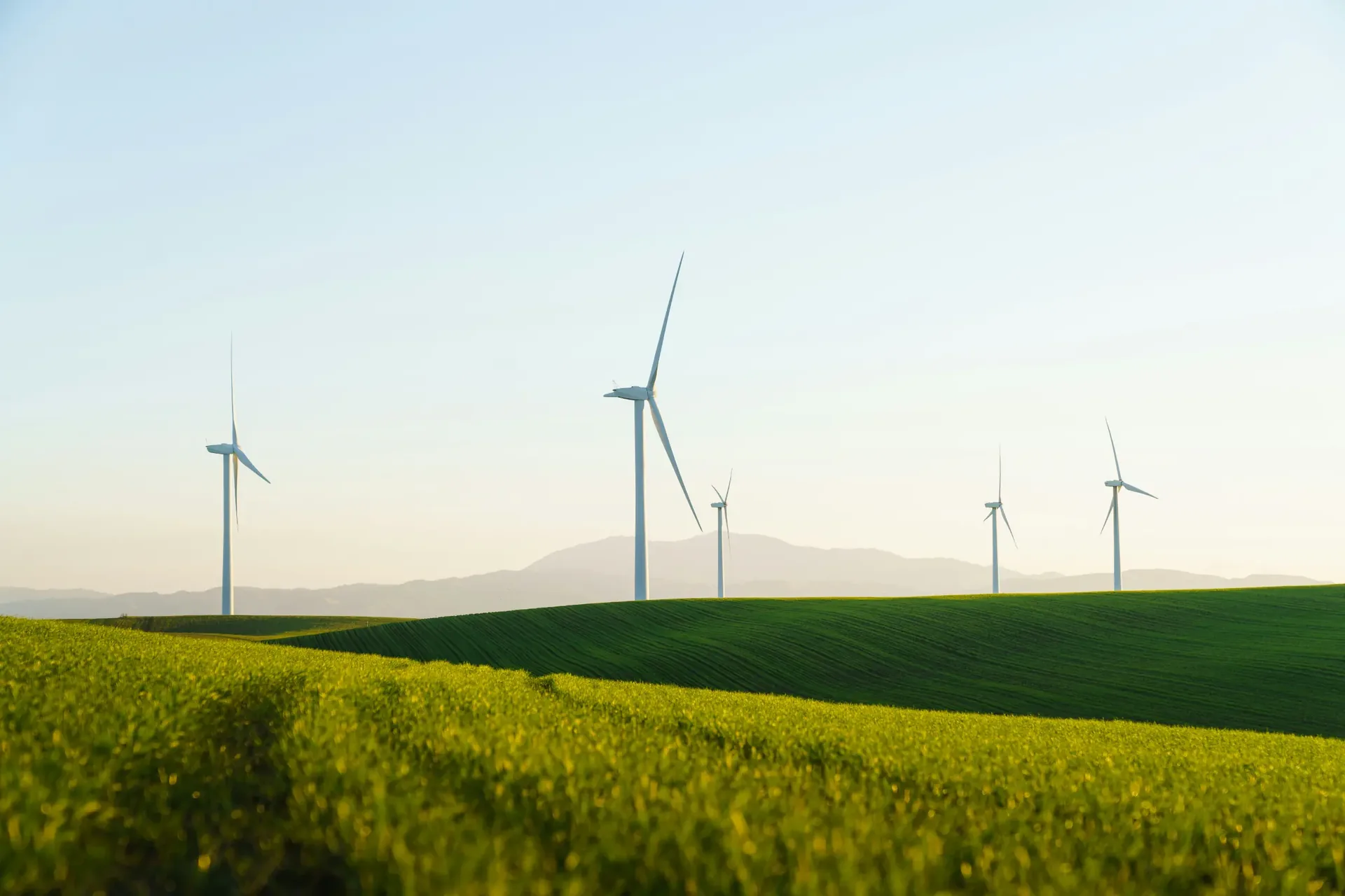 Companies with energy surplus